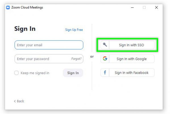 Click Sign in with SSO