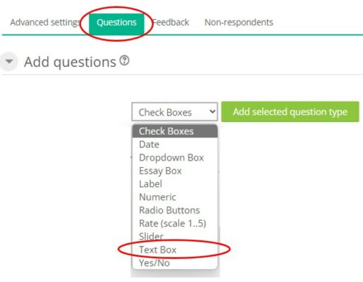 Add questions - text box
