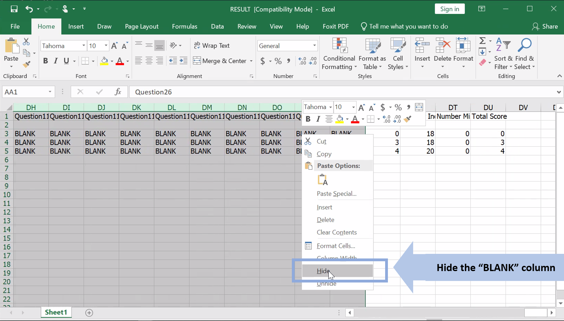 Advise: The excel file will also show “BLANK” which means the questions which do not need to fill in. You are advised to hidden the “BLANK” column.