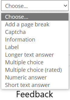questionnaire_13