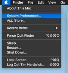 Open System Settings from the Apple menu.