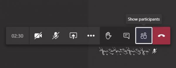Click “Show participants” in the menu bar.
