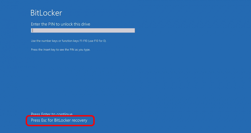 On the locked device, retrieve the Recovery key ID for device identification purpose.