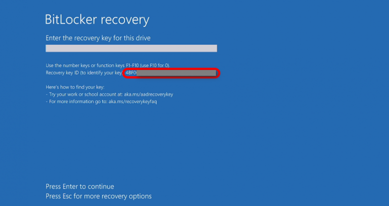 Record the 32-characters Recovery key ID