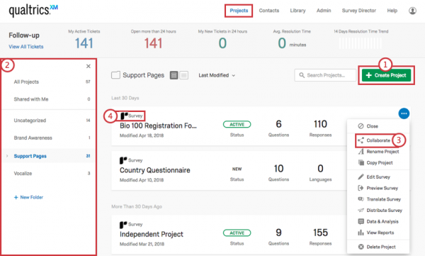 project page