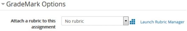 grade_mark_option