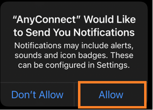 Tap Allowto allow the Notification.