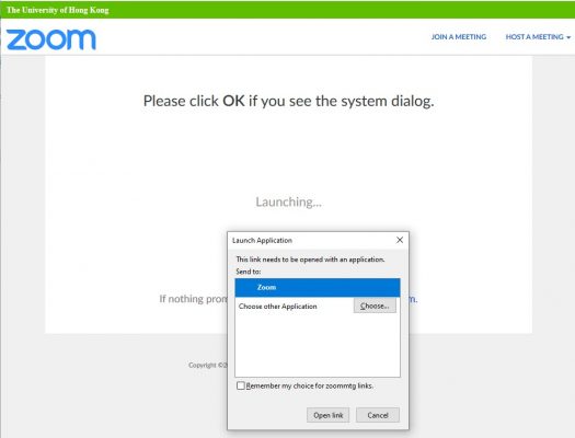 Start the zoom client