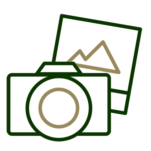 multimedia