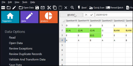 Step 7. Click “Preview” the data to review the exception case and configure the option if the exception response (e.g. multiple response, blank responses and recognition errors) was indicated. The system will be based on the reviewed data to process the statistic.