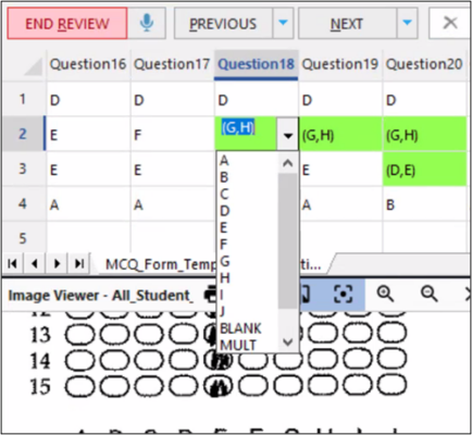 Step 9. After clicking the “Preview”, there will be some flagged data (e.g. Green for multiple response). You can based on the indicator in the left panel to changes exception responses. There will be “Image Viewer” in the bottom for you to review the student answer sheet. 