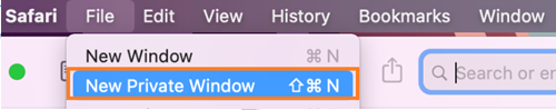 Click Safari in the menu bar > New Private Window.