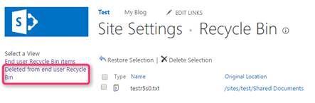 Deleted from end user Recycle Bin view