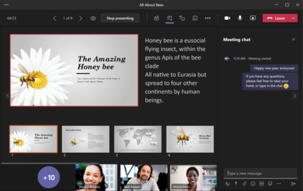 New Presentation View