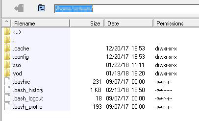 After successful login, you will see the file directory structure of your video streaming account