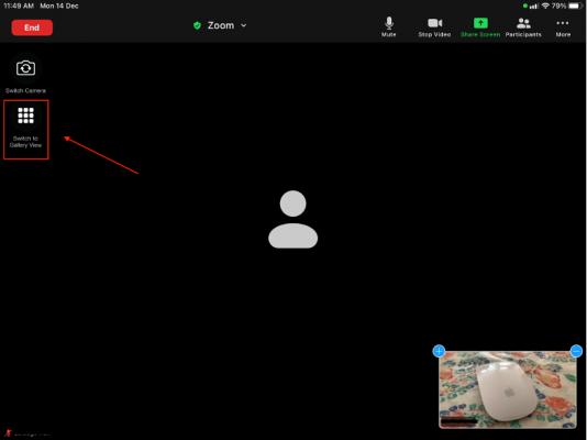 zoom-gallery-ipad1