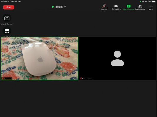 zoom-gallery-ipad2