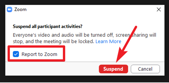 zoom-suspend-02